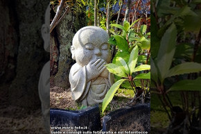 Statua di un piccolo Budda.