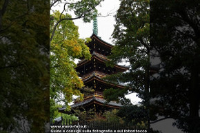 Pagoda in legno a Kyoto.