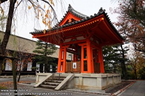 Piccolo tempio shintoista.