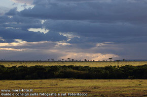 Le distese del Masai Mara.