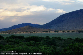 Panorama del Masai Mara.