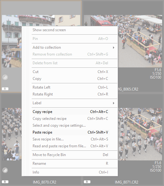 canon digital professional 4 tutorial