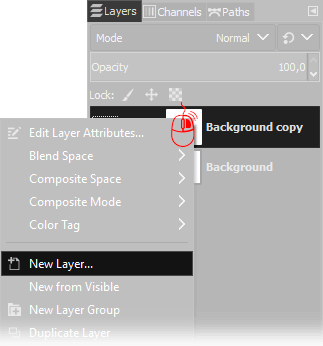 Gimp's new layer