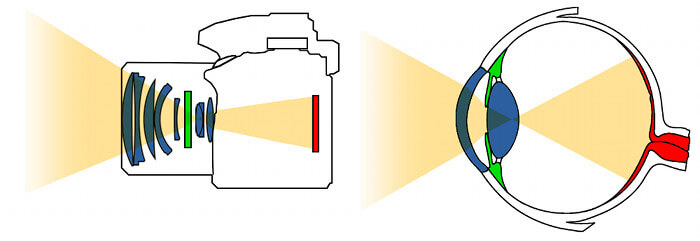 A comparison drawing between camera and eye