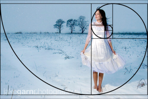 another crop that respects golden spiral