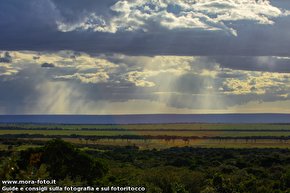 Pioggia di sole sul Masai Mara.