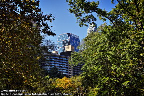 Scorcio di grattacielo da Central Park.