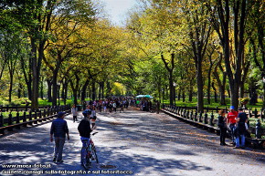 La strada principale di Central Park.