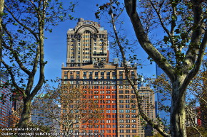 Un grattacielo tra gli alberi, Battery Park.