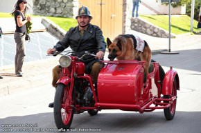 Sidecar con cane come passeggero.