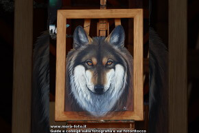 Il lupo dipinto da Roberto Bianchi.