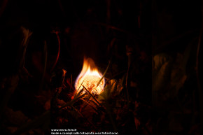 Foto al fuoco in notturna.