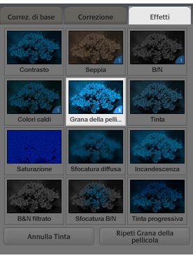 Applicare la grana della pellicola