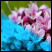 Effetto cyanotype con Picasa.