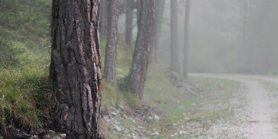 nebbia digitale